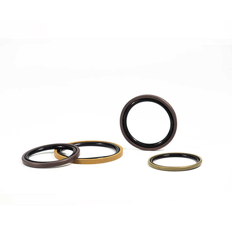 PTFE PISTON SEAL JSPGO